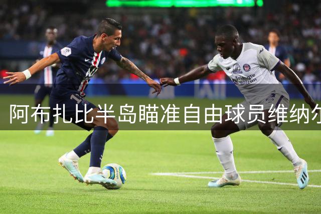 阿布扎比半岛瞄准自由球员维纳尔杜姆